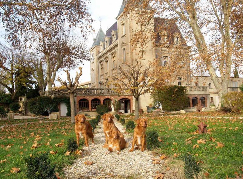 Le Mogador Chateau Du Martinet Violès Buitenkant foto