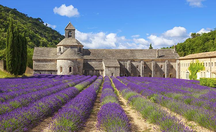 Le Mogador Chateau Du Martinet Violès Buitenkant foto